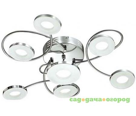 Фото Scatta 4019/44CL