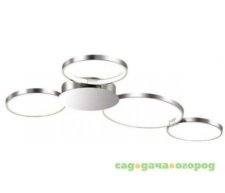 Фото Olimpo 4016/36CL