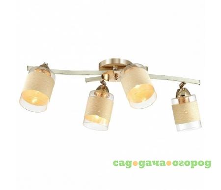 Фото Filla 3029/4CA