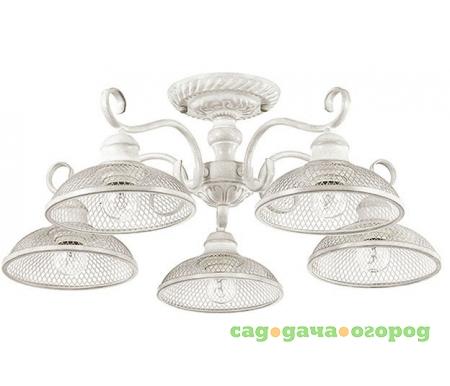 Фото Zerome 3473/5C