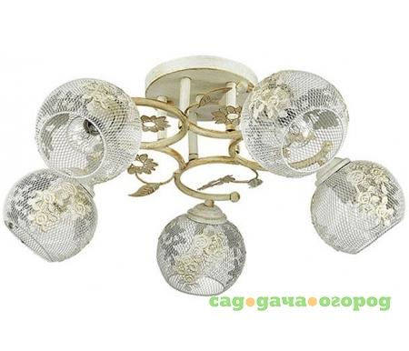 Фото Ivetta 3000/5C
