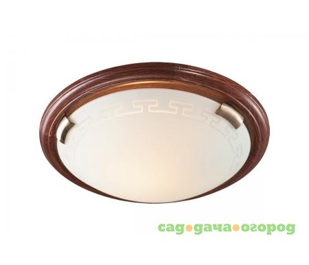 Фото Greca Wood 260