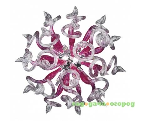 Фото Medusa 890652