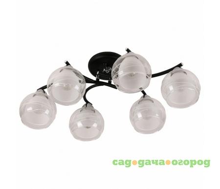 Фото 845 845/6PF-Blackchrome