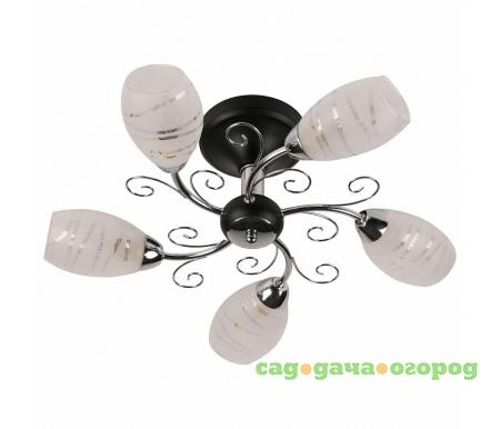 Фото 846 846/5PF-Blackchrome