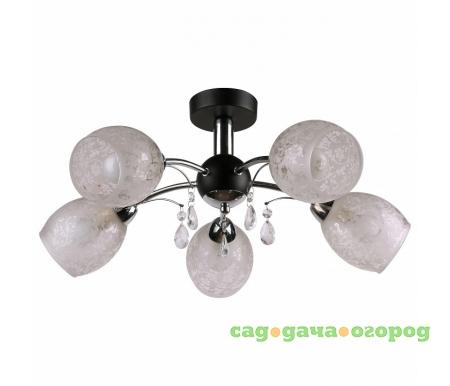 Фото 843 843/5PF-Blackchrome