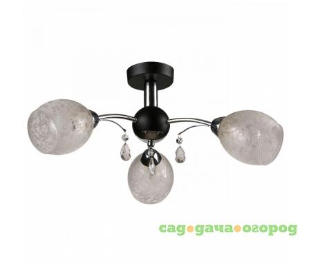 Фото 843 843/3PF-Blackchrome