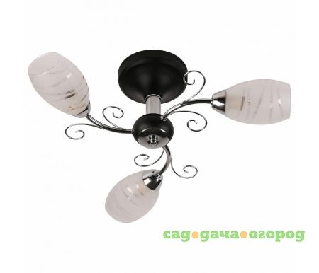 Фото 846 846/3PF-Blackchrome