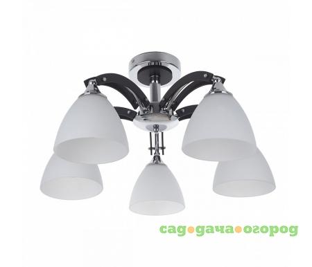 Фото на штанге Fayora 287/5PF-Blackchrome