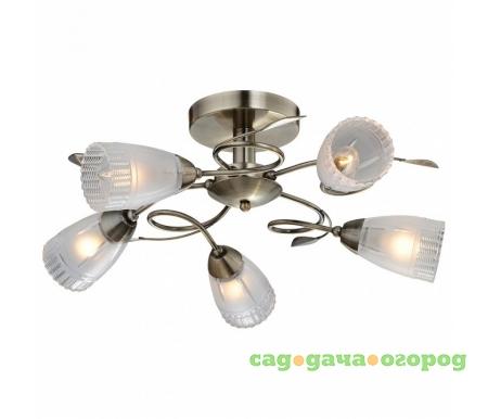 Фото 858 858/5PF-Oldbronze