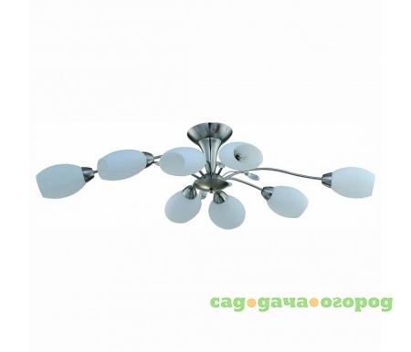 Фото 830 830/8PF-Whitechrome