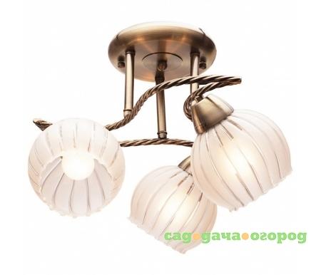Фото 244/3PF-Oldbronze