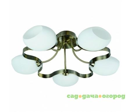 Фото 601 601/5PF-SUNOldbronze