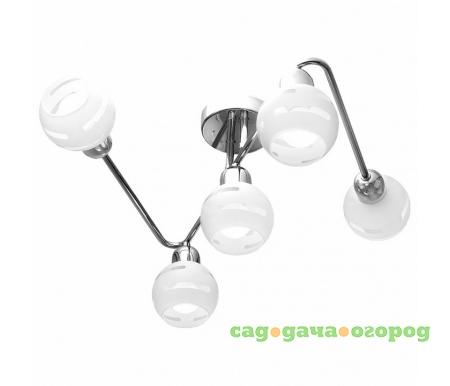 Фото 361/5A-Whitechrome