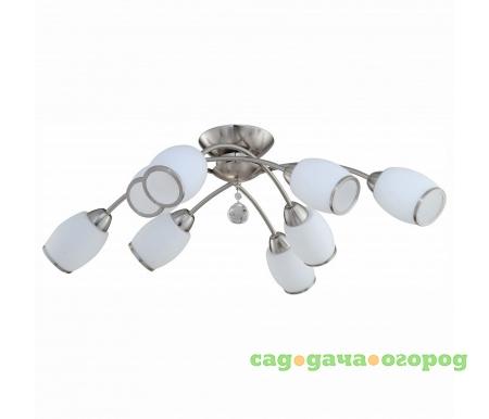 Фото 804 804/8PF-Whitechrome