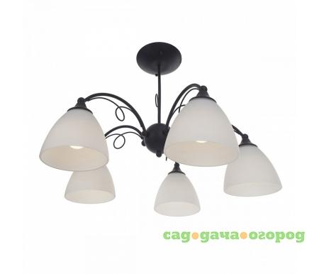 Фото IDLamp Elettra 881/5PF-Argentoscuro