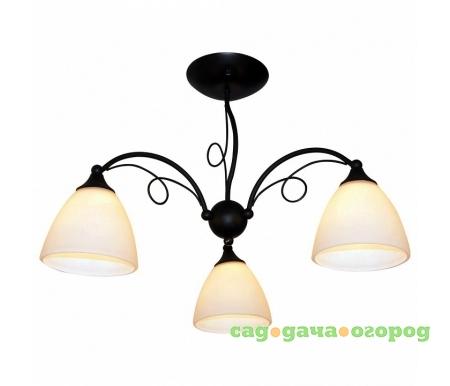 Фото IDLamp Elettra 881/3PF-Argentoscuro