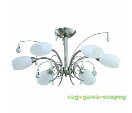 Фото на штанге 805 805/6PF-Whitechrome