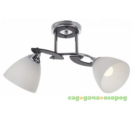 Фото на штанге Falio 279/2PF-Blackchrome