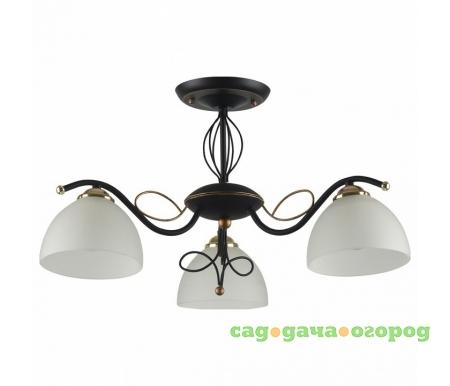 Фото на штанге Ragia 554/3PF-Blackpatina