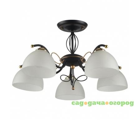 Фото на штанге Ragia 554/5PF-Blackpatina