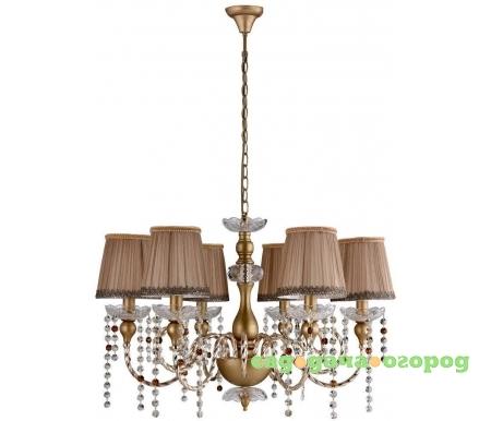 Фото Alegria Sp6 Gold-Brown