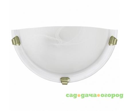 Фото Salome 7903