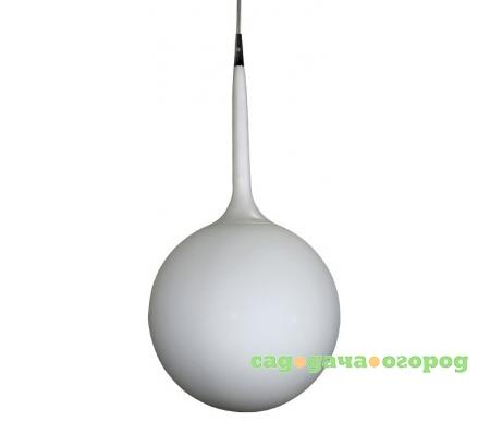 Фото Globo 803110