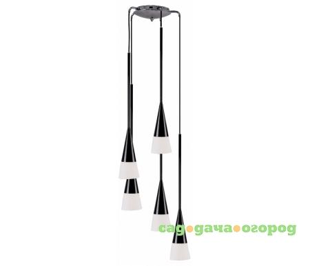 Фото Simple Light 804 804257