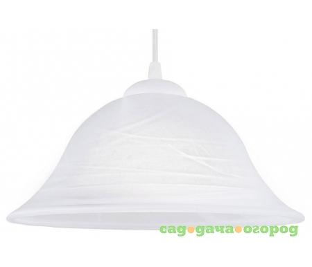 Фото Alessandra 3362