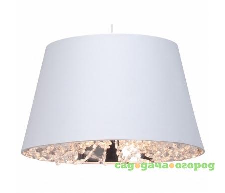 Фото Glitz 93415/05