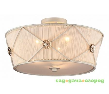Фото Elegant 37 ARM369-03-G