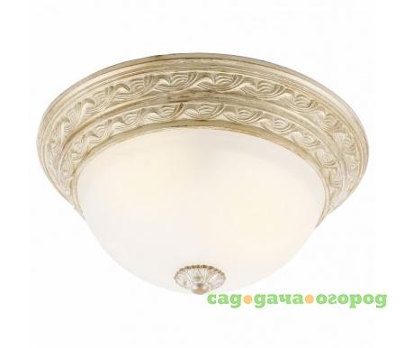 Фото Piatti A8013PL-2WA