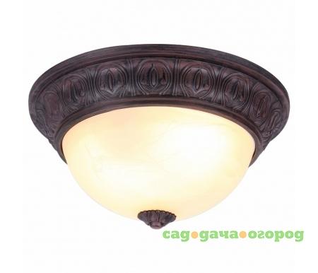 Фото Piatti A8007PL-2CK