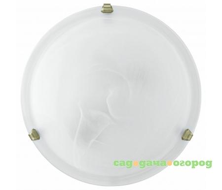 Фото Salome 7901