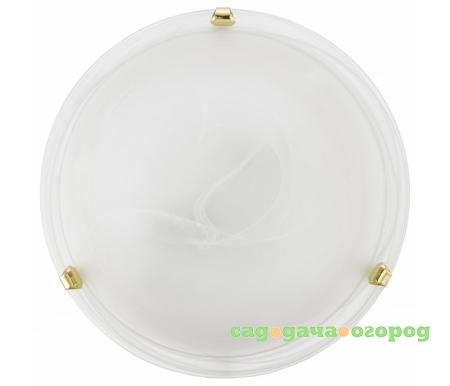 Фото Salome 7185