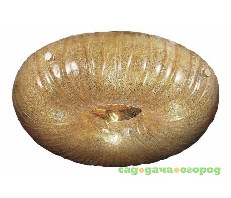 Фото Zucche 820343
