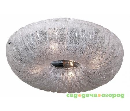 Фото Zucche 820340