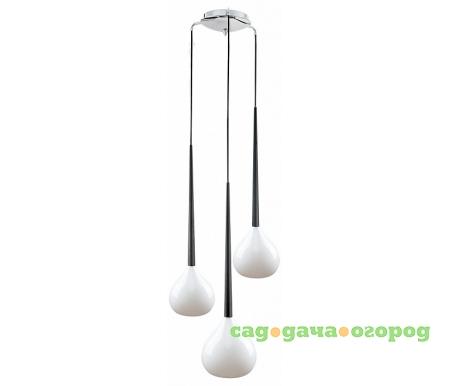 Фото Simple Light 808 808230