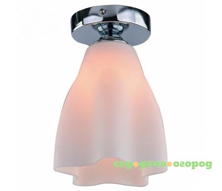 Фото Arte Lamp 17 A3469PL-1CC