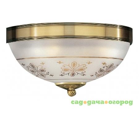 Фото Reccagni Angelo A 6012/2