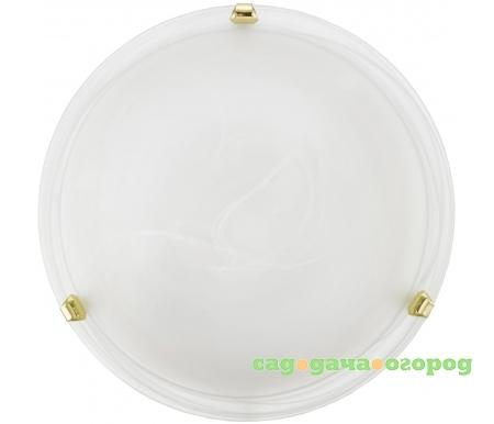 Фото Salome 7183
