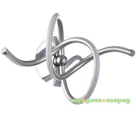 Фото Nastro MOD446-02-N