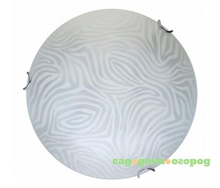 Фото Agatha TL9260Y-00WH