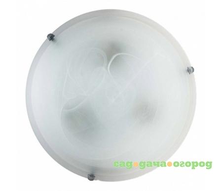 Фото Irma TL9071Y-02WH