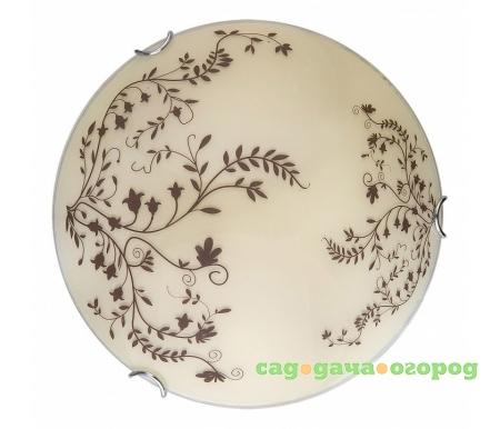 Фото Irene TL9631Y-00WH