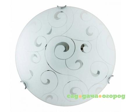 Фото Kelly TL9042Y-03WH