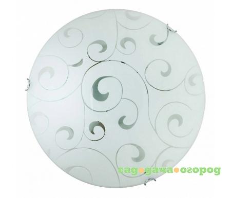 Фото Kelly TL9041Y-02WH