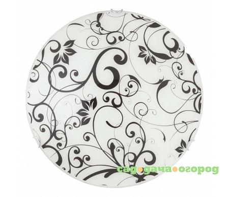 Фото Ziza TL9221Y-01WH