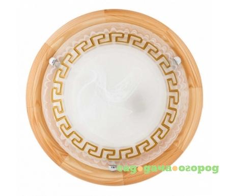 Фото Gien TL9173Y-02PN